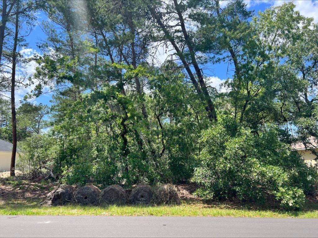 00 SW 50th Avenue Ocala FL 34473 OM657325 image1