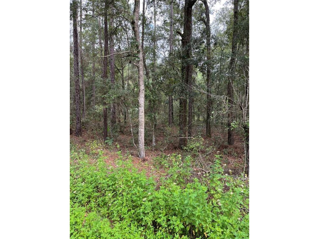 00 SW 50th Place Dunnellon FL 34431 OM664212 image1