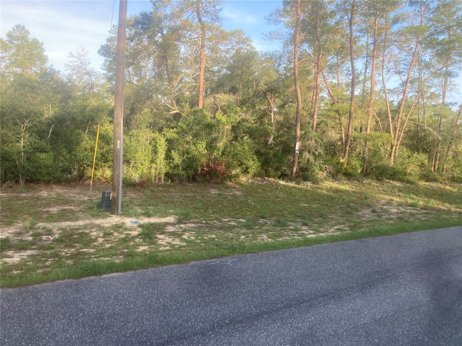 00 SW 50th Terrace Road Ocala FL 34473 OM725476 image2