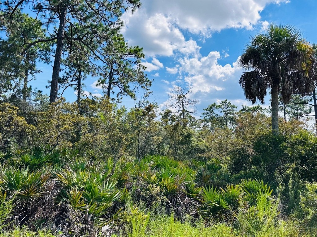 00 SW 52 Place Cedar Key FL 32625 GC533428 image1