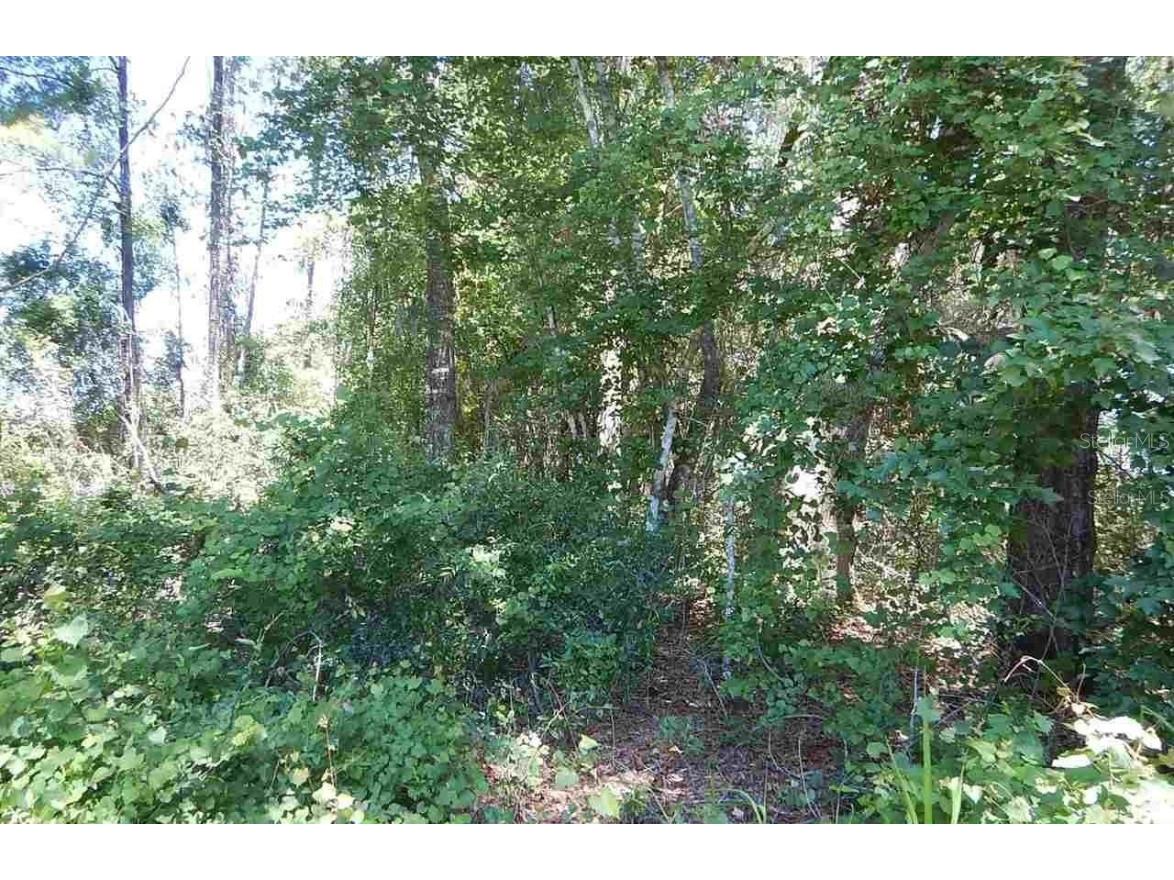 00 SW 52nd Terrace Lake Butler FL 32054 GC515834 image1