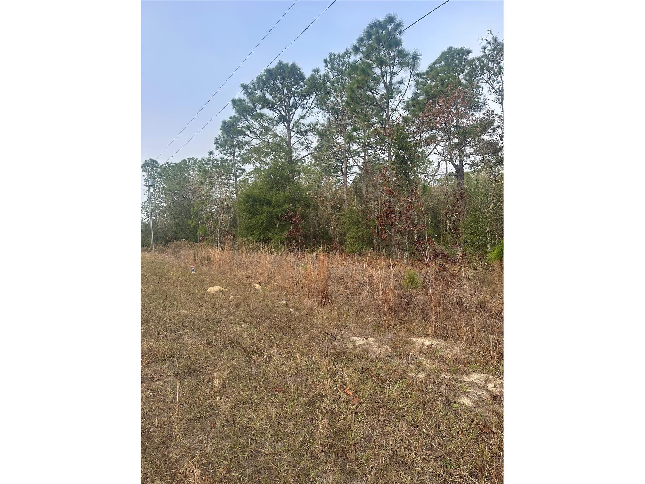 00 SW 54th Lane Road Ocala FL 34481 OM715101 image1