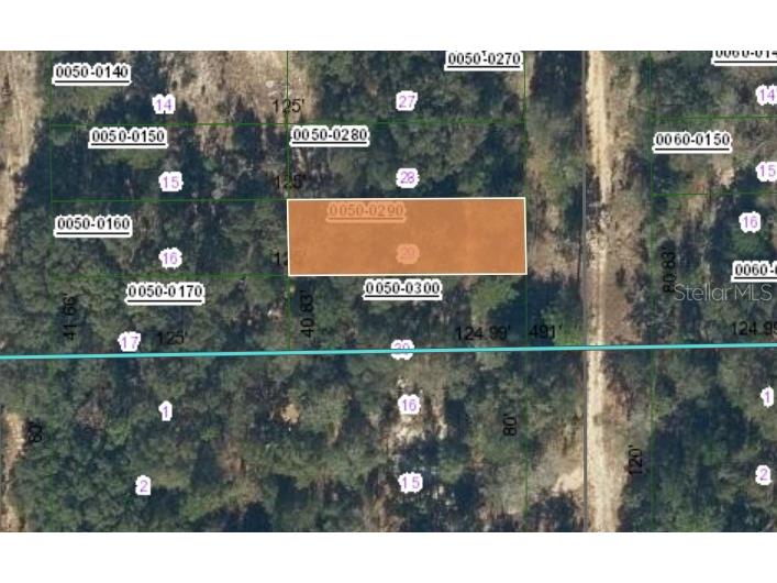 00 Sw 55th Avenue Interlachen FL 32148 OM697361 image1
