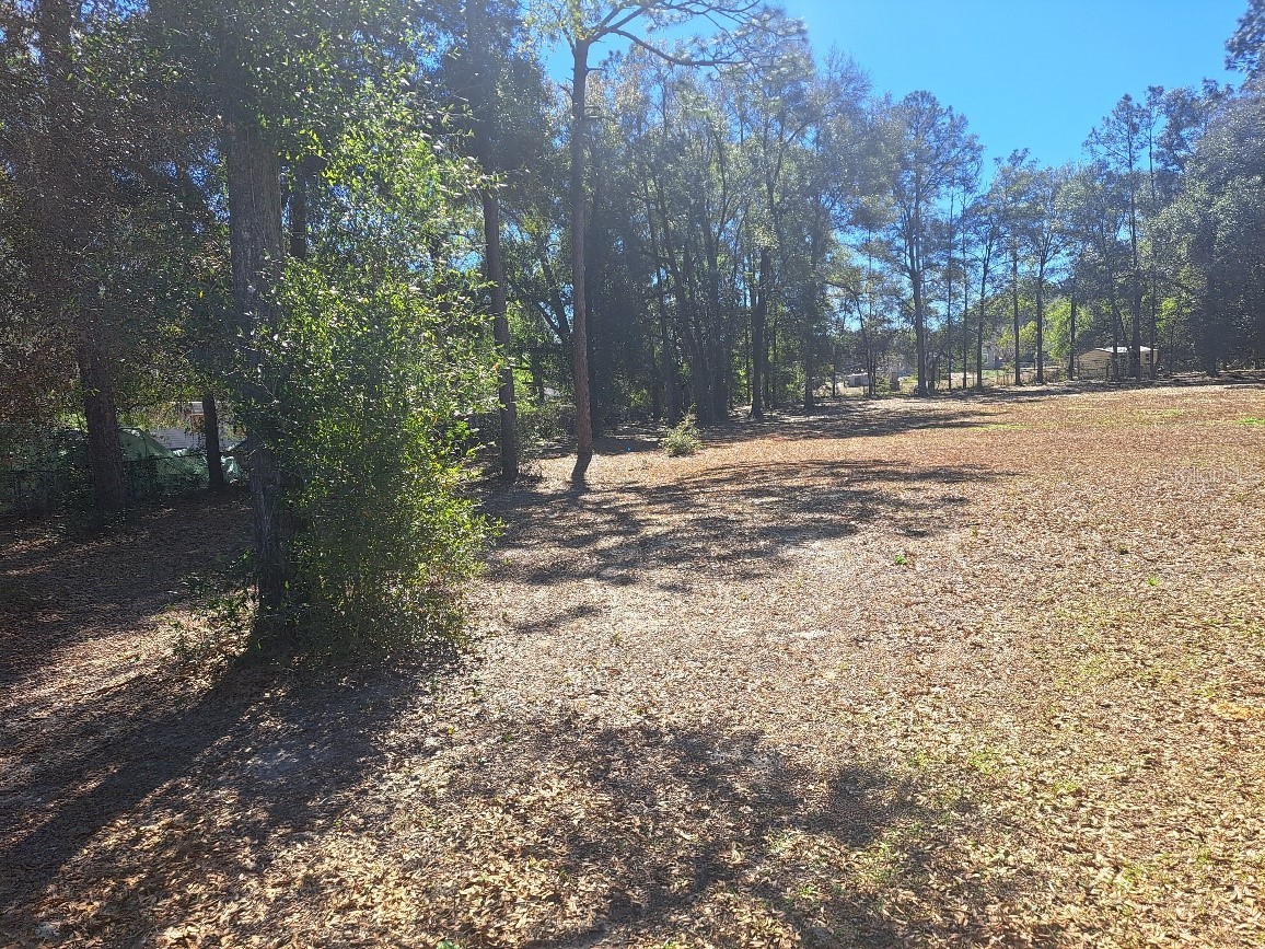 00 SW 55th Street Ocala FL 34481 OM719472 image3