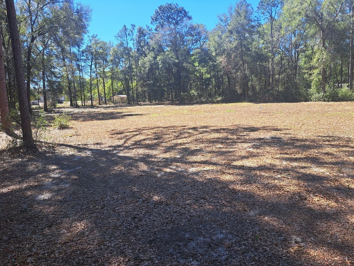 00 SW 55th Street Ocala FL 34481 OM719472 image4