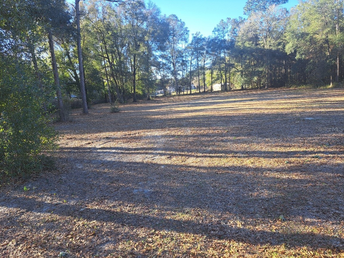00 SW 55th Street Ocala FL 34481 OM719472 image6
