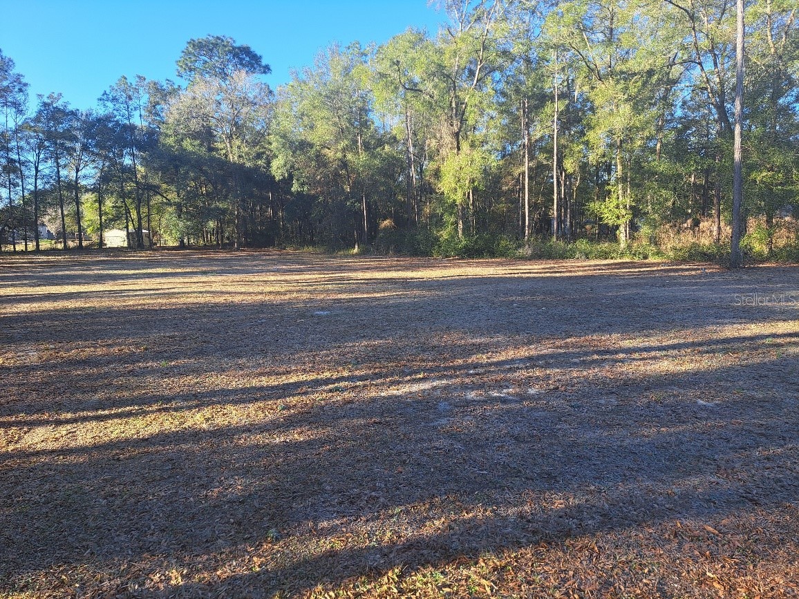 00 SW 55th Street Ocala FL 34481 OM719472 image7