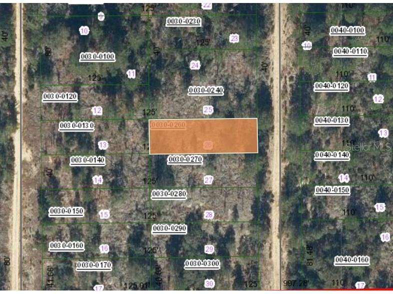 00 Sw 57th Avenue Interlachen FL 32148 OM697350 image1