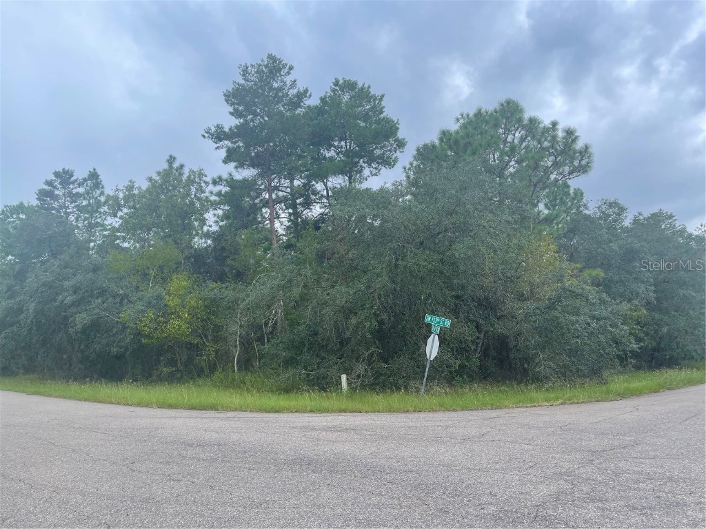 00 SW 60th Ave Rd Ocala FL 34473 OM651621 image1