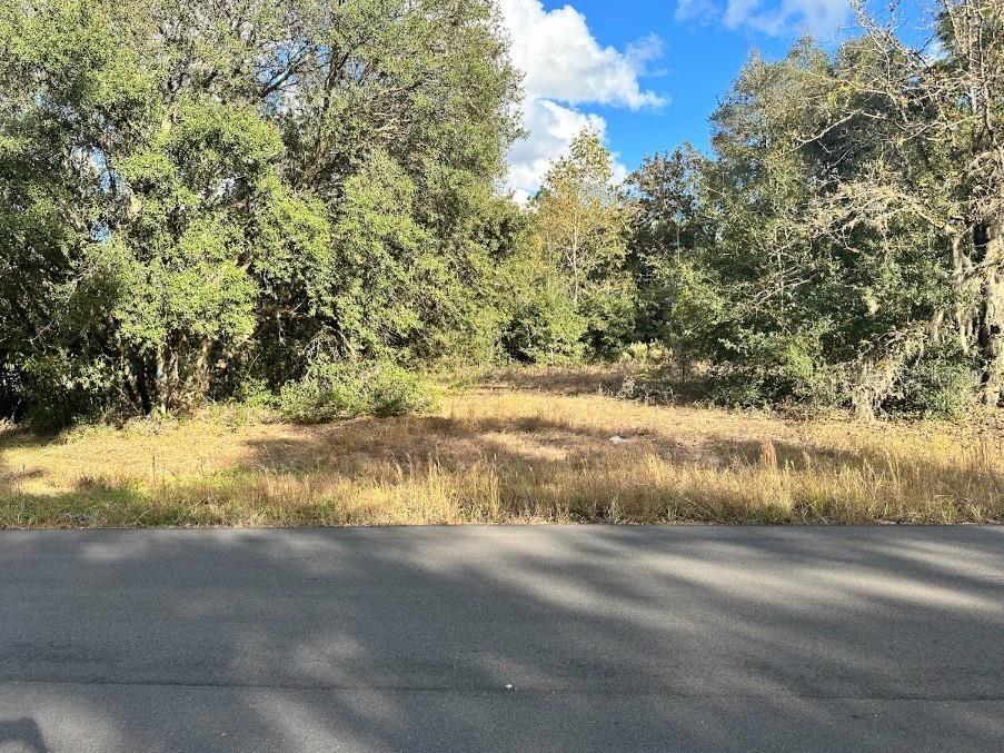 00 SW 60th Avenue Road Ocala FL 34473 OM692698 image1