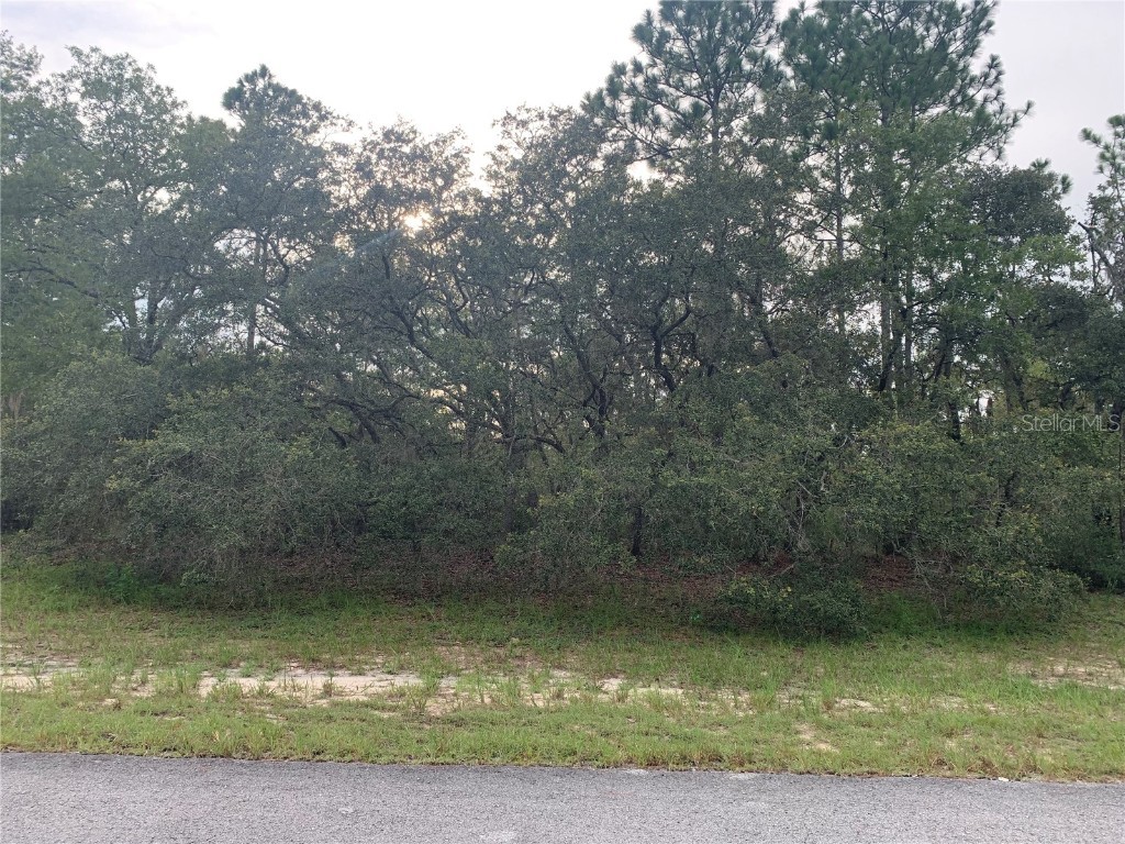 00 SW 61st Avenue Road Ocala FL 34473 OM661951 image1