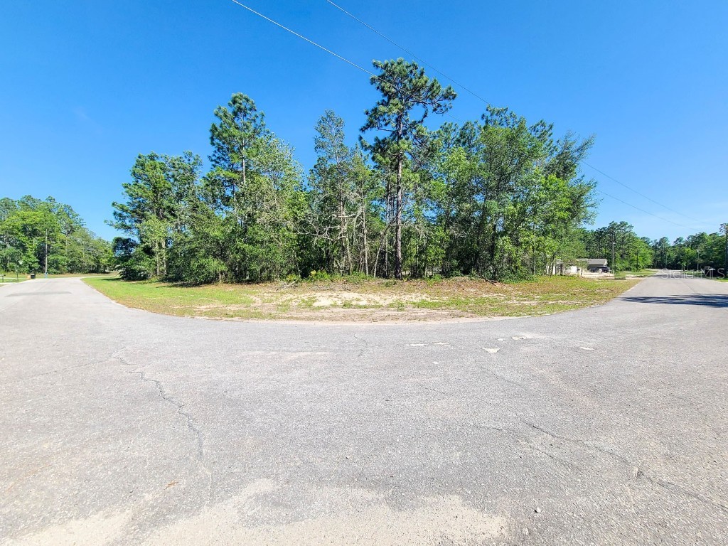 00 SW 61st Circle Ocala FL 34473 OM657379 image1