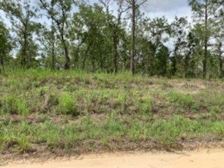 00 SW 64th Street Ocala FL 34481 OM663524 image1