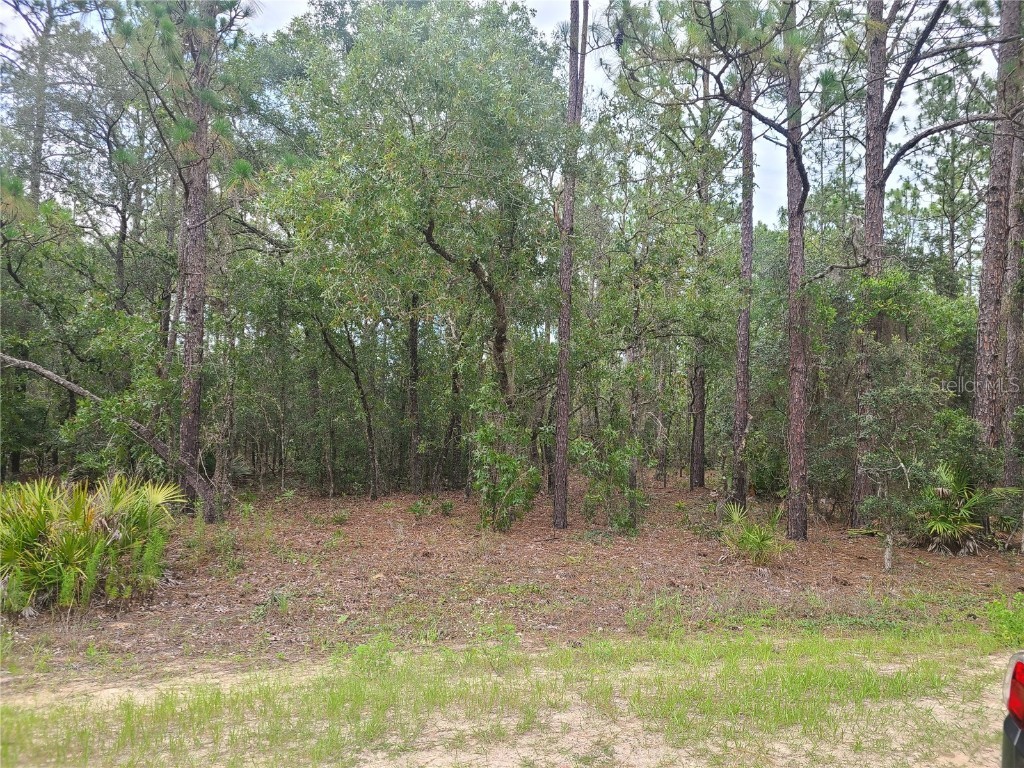 00 SW 69th Place Ocala FL 34481 OM659537 image1