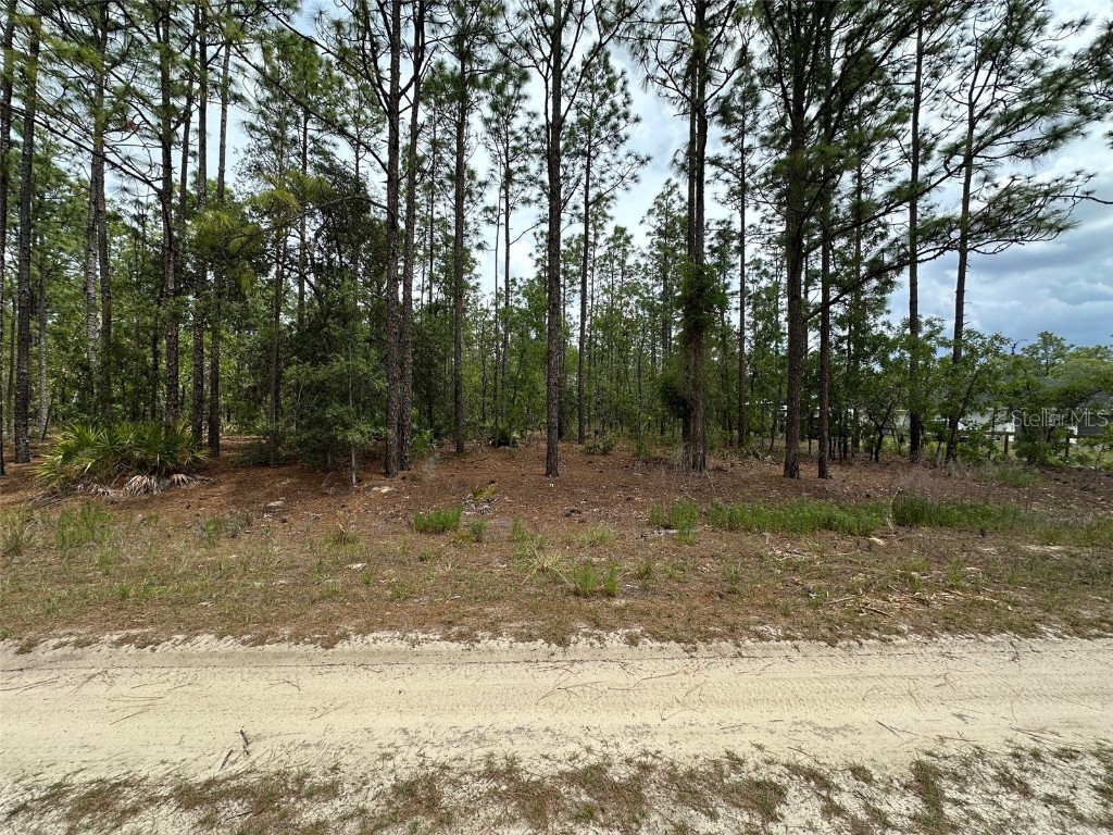 00 SW 75th Street Dunnellon FL 34432 OM701963 image1