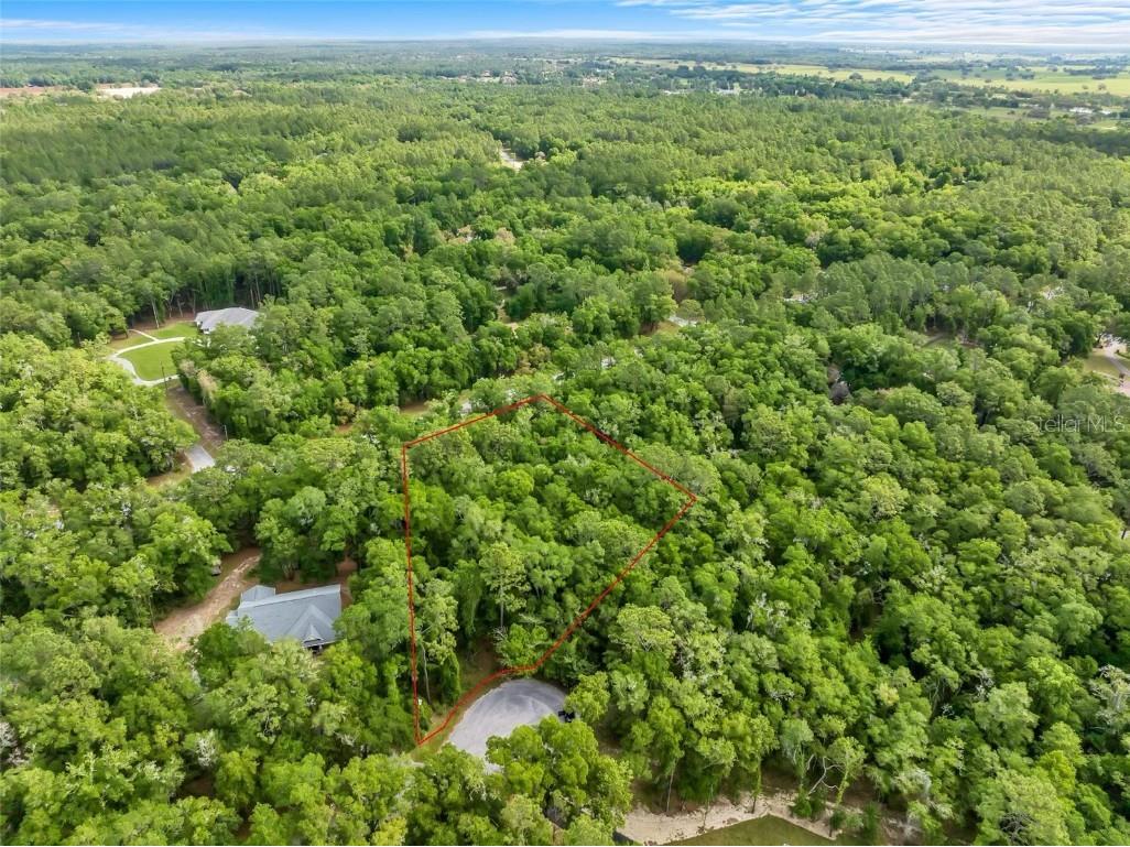 00 SW 78th Street Dunnellon FL 34432 OM676467 image1