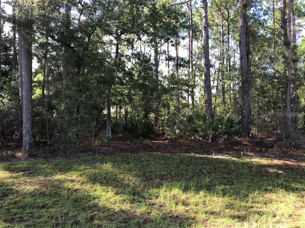 00 SW 81st Circle Ocala FL 34473 OM642885 image1