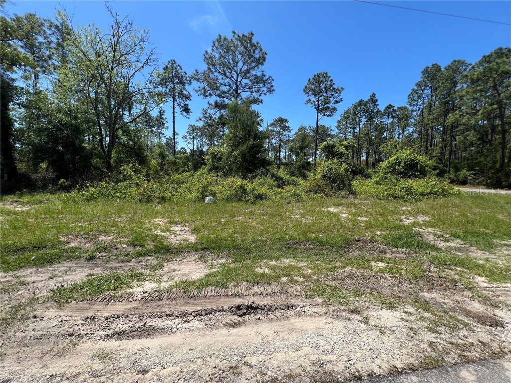 00 SW 81st Circle Ocala FL 34473 OM676862 image1