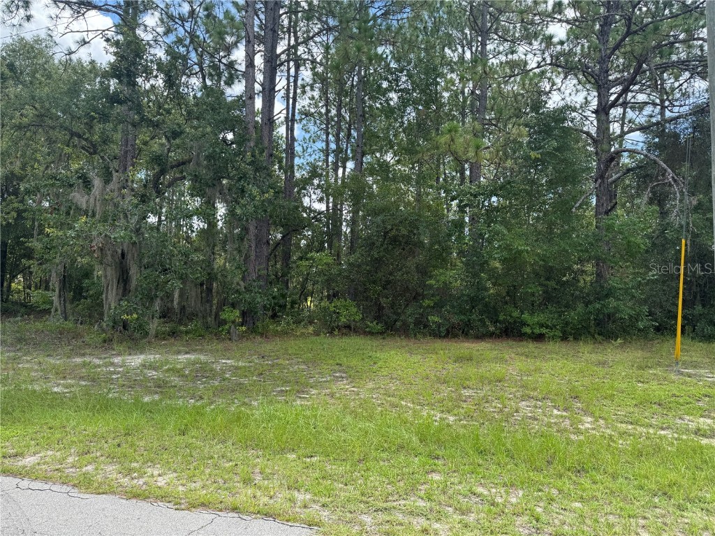 00 SW 81st Circle Ocala FL 34473 OM706651 image1