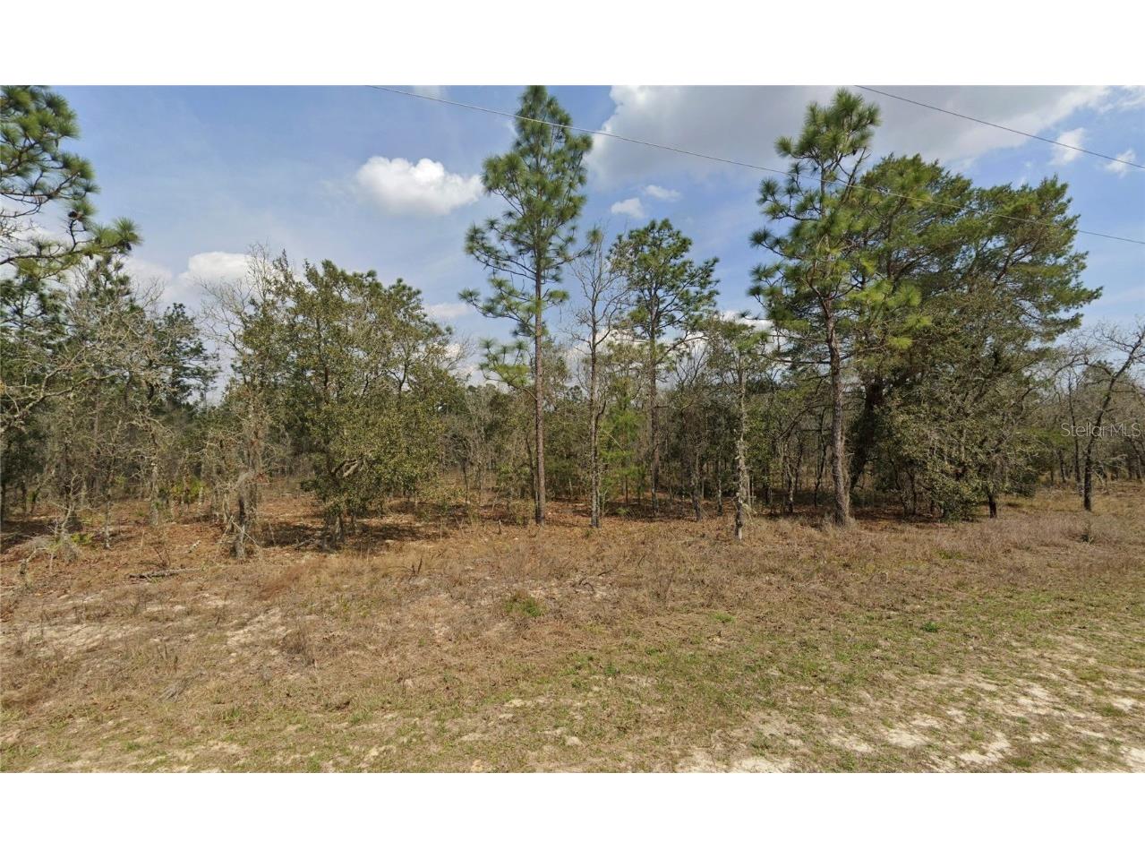 00 SW 81st Street Dunnellon FL 34432 OM684144 image1