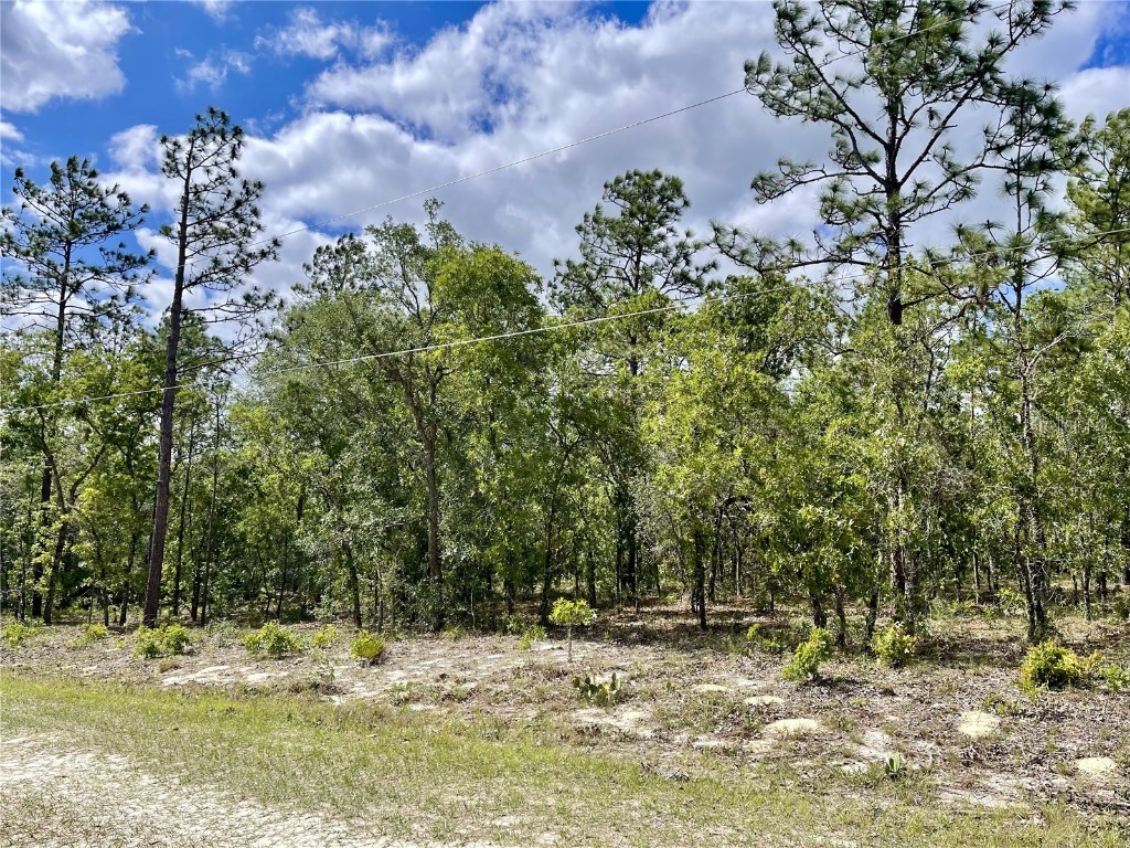 00 SW 88th Street Dunnellon FL 34432 OM658605 image1