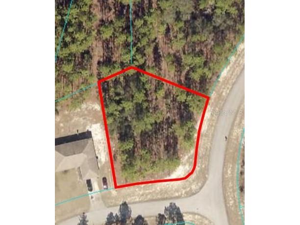 00 SW 88th Terrace Ocala FL 34473 OM658680 image1