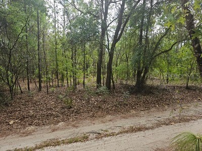 00 SW 90 Street Dunnellon FL 34432 OM723648 image1