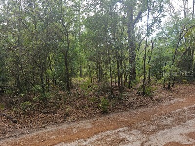 00 SW 90 Street Dunnellon FL 34432 OM723648 image2