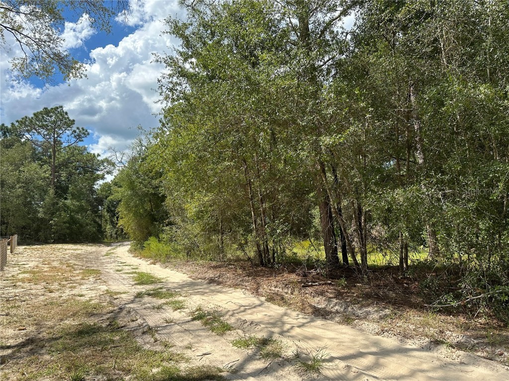 00 SW 93 Place Dunnellon FL 34432 OM664124 image1