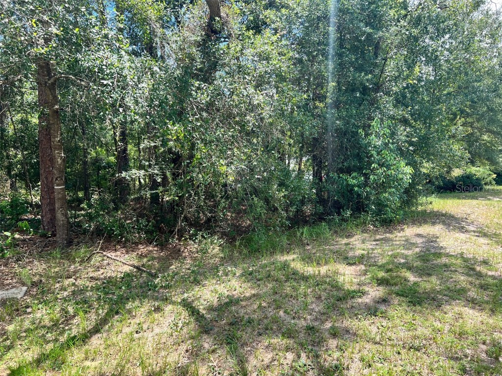 00 SW 96th Lane Dunnellon FL 34432 - RAINBOW RIVER OM643773 image1
