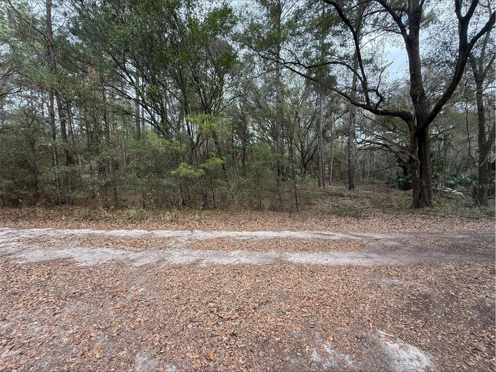 00 SW 9th Place Ocala FL 34481 OM720108 image1