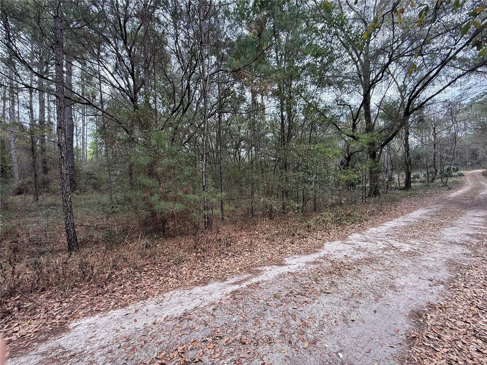 00 SW 9th Place Ocala FL 34481 OM720108 image3