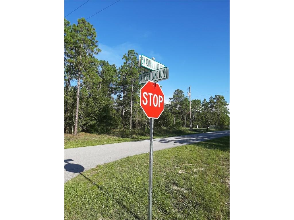 00 SW Admiral Landing Drive Dunnellon FL 34431 - RAINBOW LAKES OM642650 image1