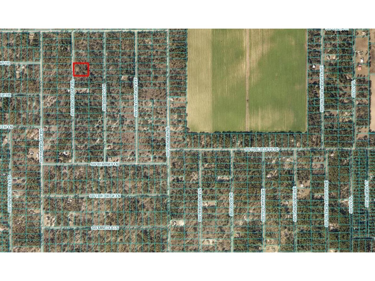 00 SW Arrow Leaf Trail Dunnellon FL 34431 OM659243 image1