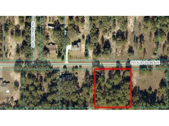 00 Sw Audubon Ave Dunnellon FL 34431 OM692312 image1