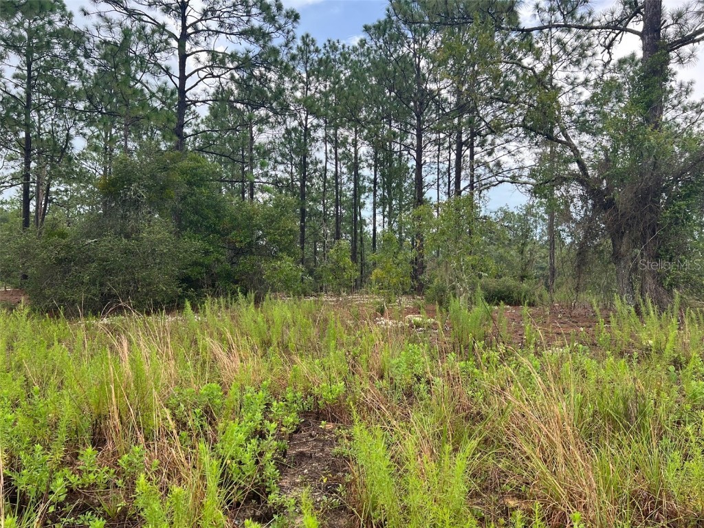 00 SW Azalea Court Dunnellon FL 34431 - Tiger Lake OM661913 image1