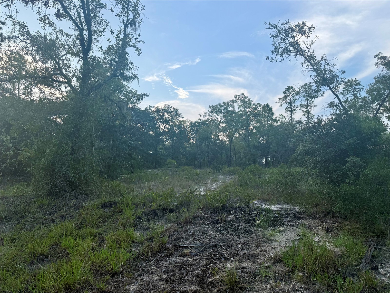 00 SW Barnacle Drive Dunnellon FL 34431 - LAKE BONABLE/TIGER LAKE OM706134 image1