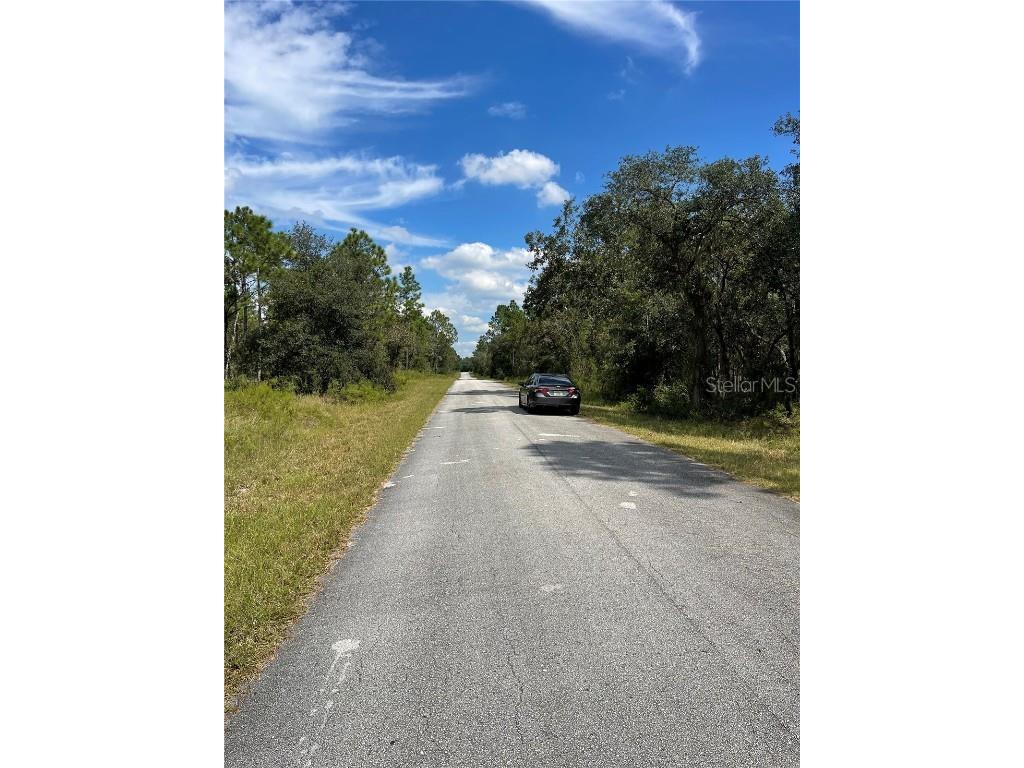 00 SW Blue Berry Lane #LOT 11 Dunnellon FL 34431 O6341693 image1