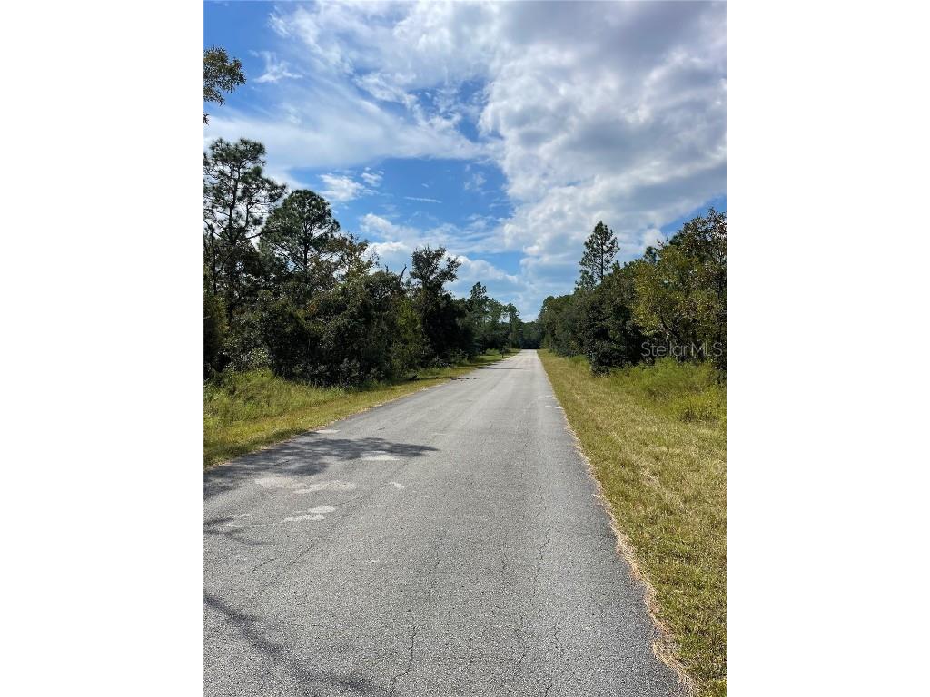 00 SW Blue Berry Lane #LOT 11 Dunnellon FL 34431 O6341693 image2