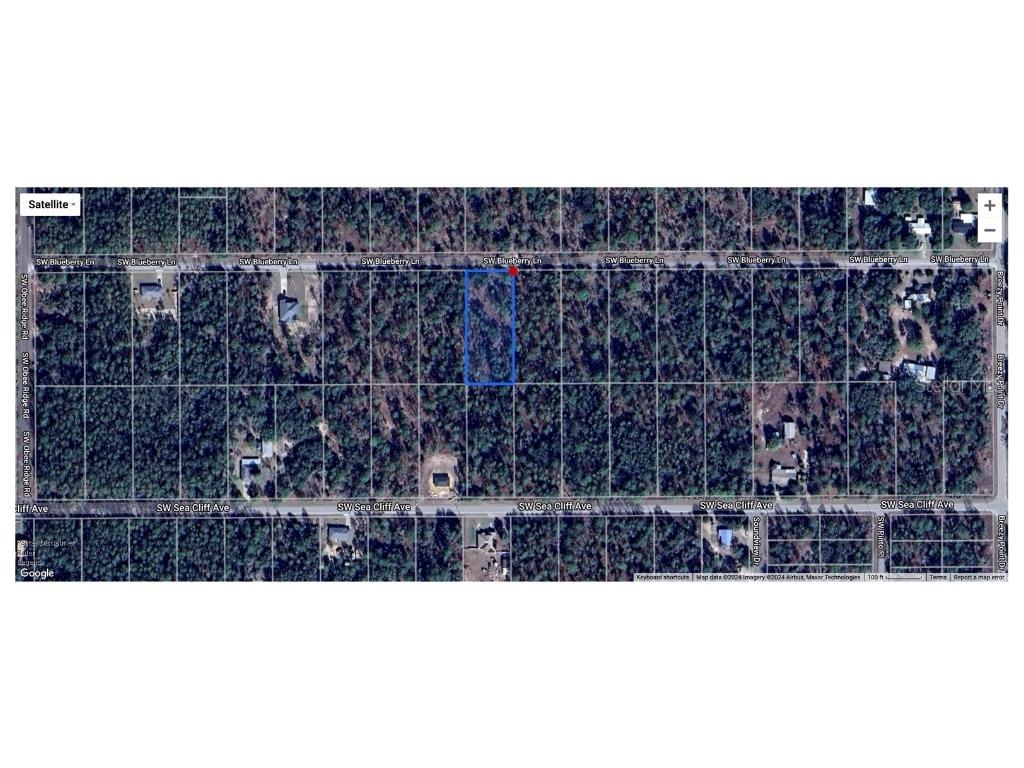 00 SW Blue Berry Lane #LOT 11 Dunnellon FL 34431 O6341693 image6