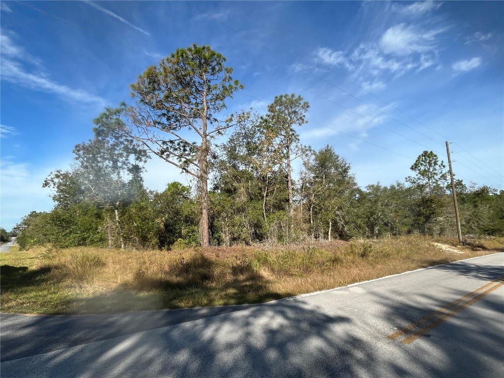 00 SW Breezy Point Drive Dunnellon FL 34431 OM712231 image1