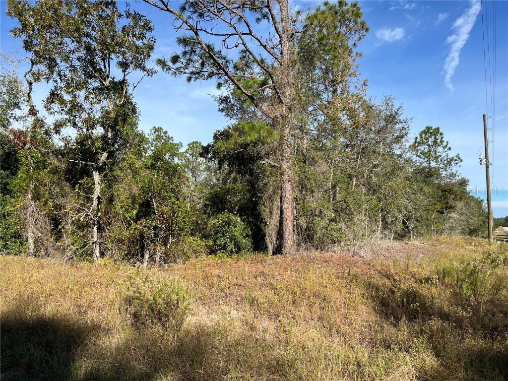 00 SW Breezy Point Drive Dunnellon FL 34431 OM712231 image2