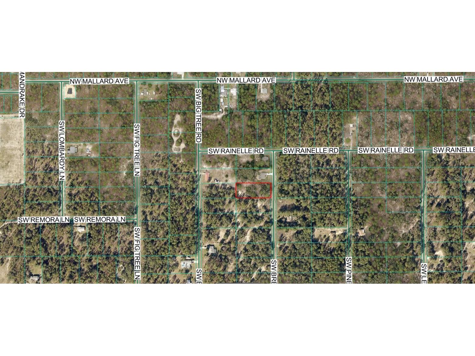 00 SW Breezy Point Drive Dunnellon FL 34431 OM728578 image1