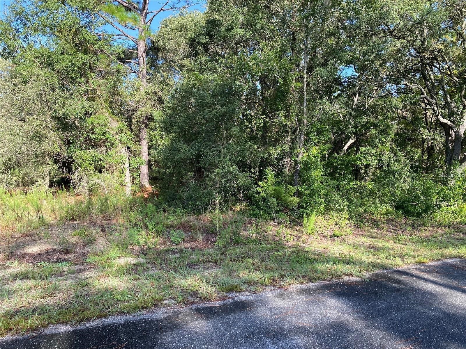 00 SW Breezy Point Drive Dunnellon FL 34431 OM728578 image2