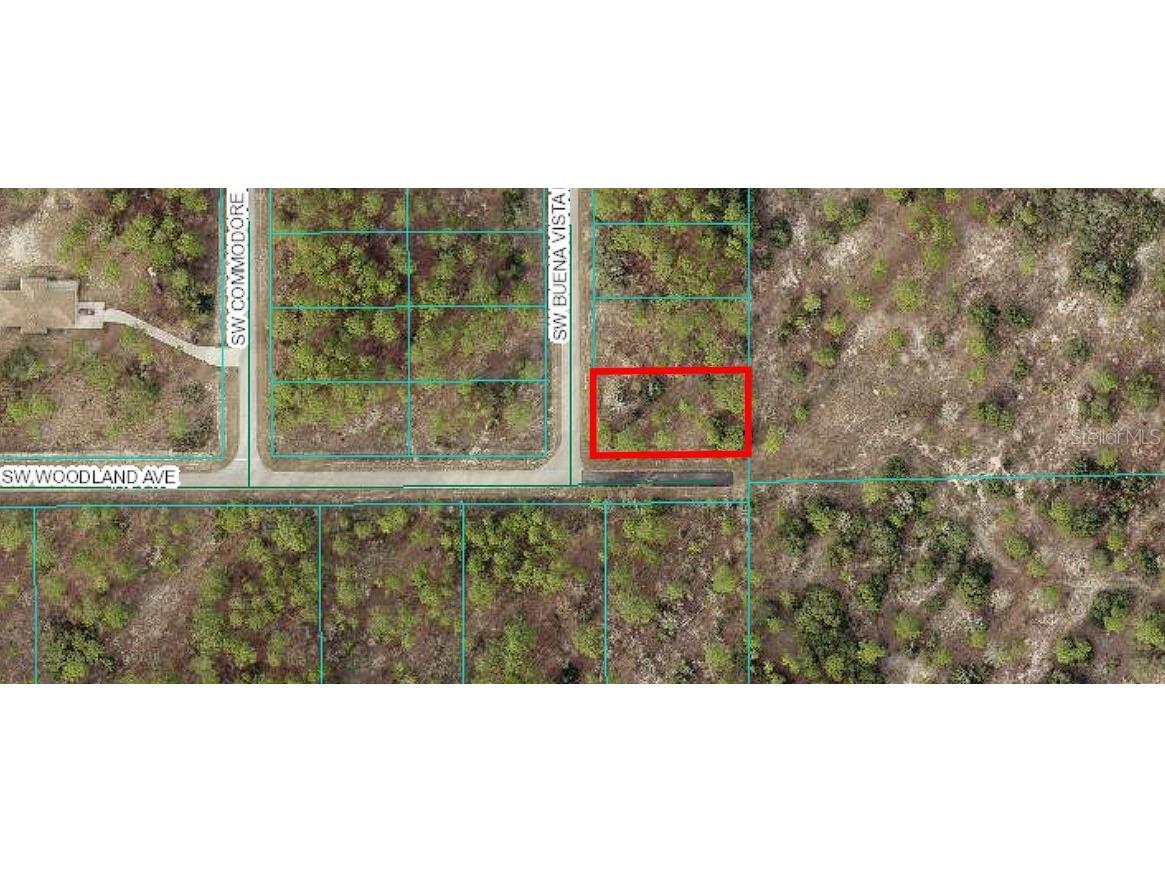 00 SW Buena Vista Road Dunnellon FL 34431 OM694583 image1