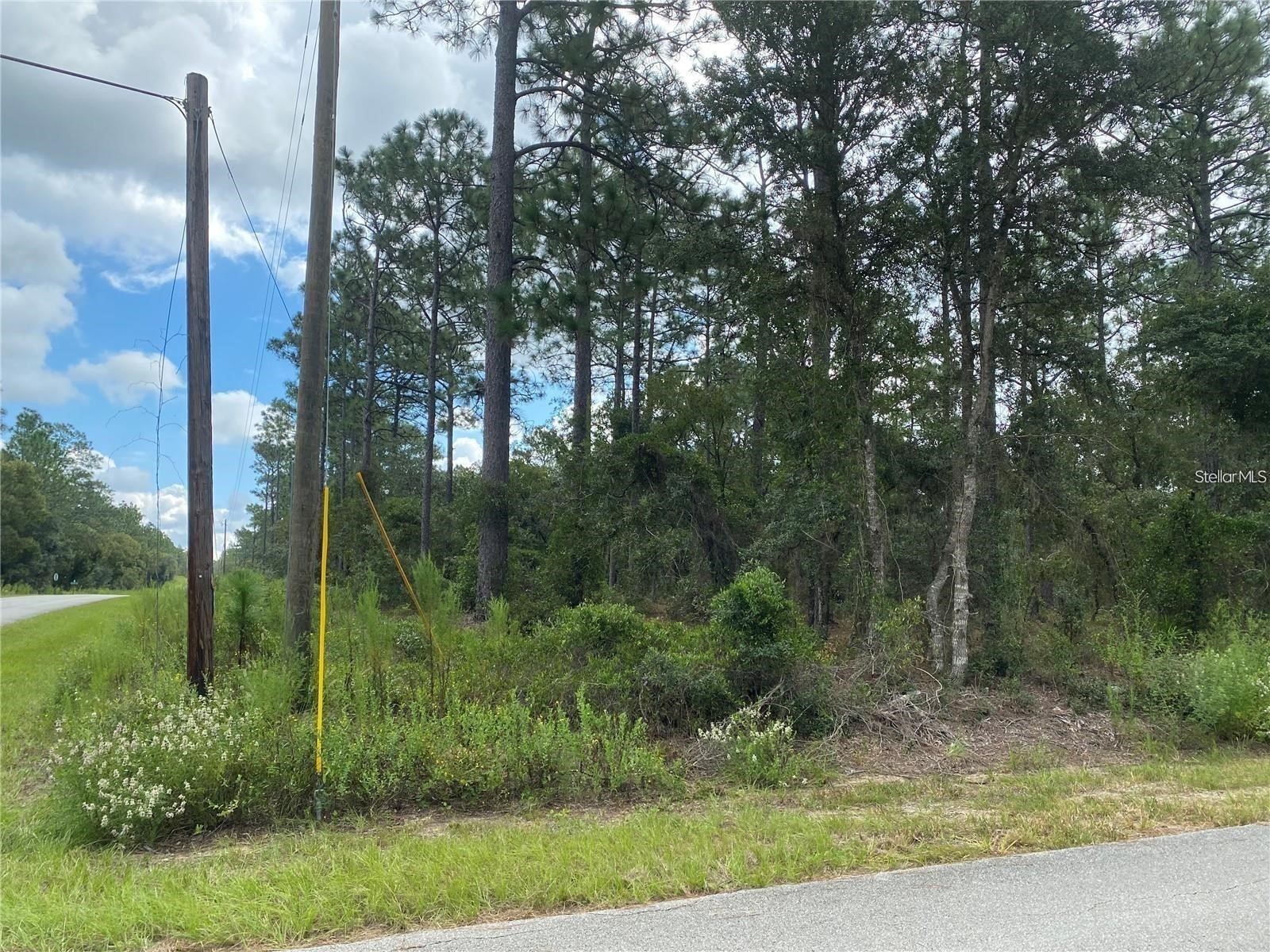 00 SW Buena Vista Road Dunnellon FL 34431 OM727965 image1