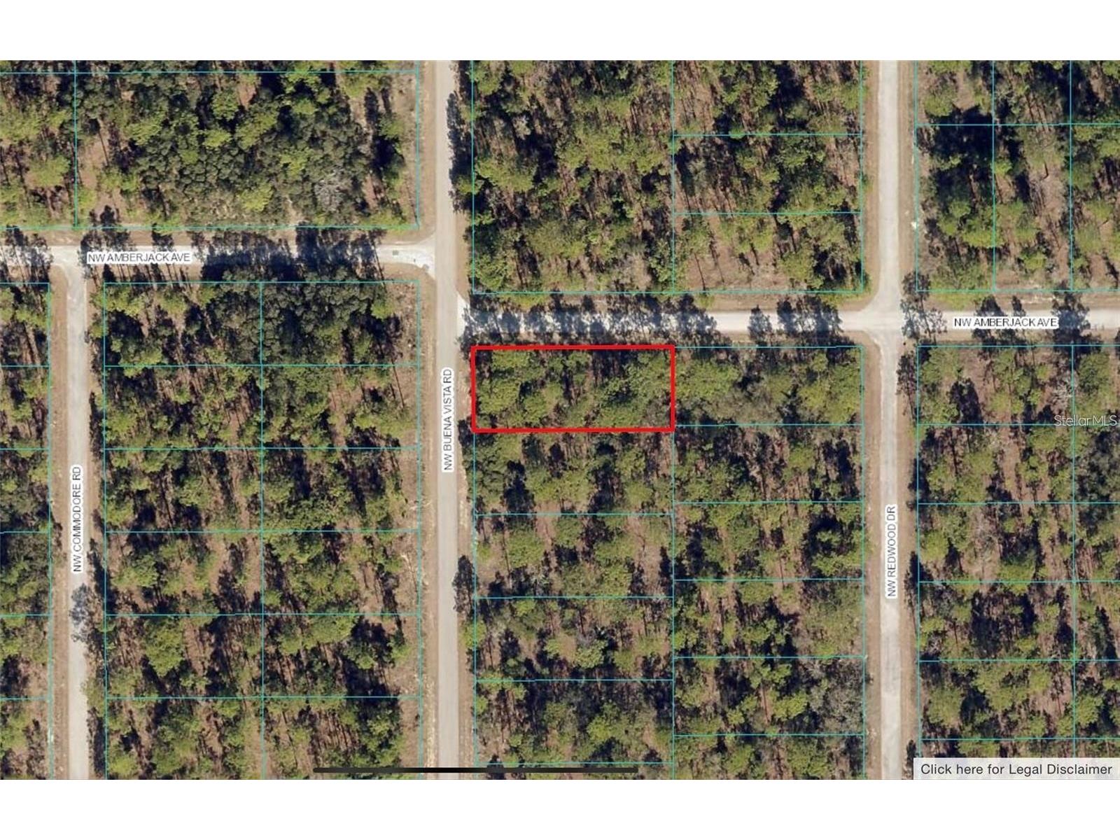 00 SW Buena Vista Road Dunnellon FL 34431 OM727965 image2