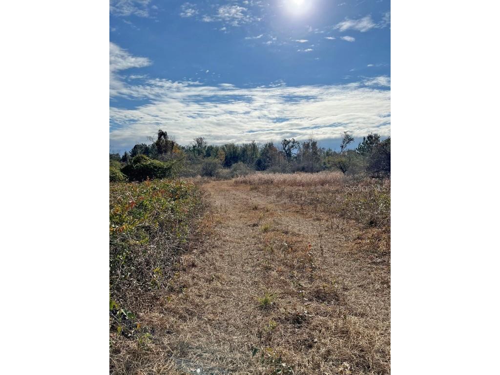 00 SW Cr 249 Jasper FL 32052 OM688220 image3