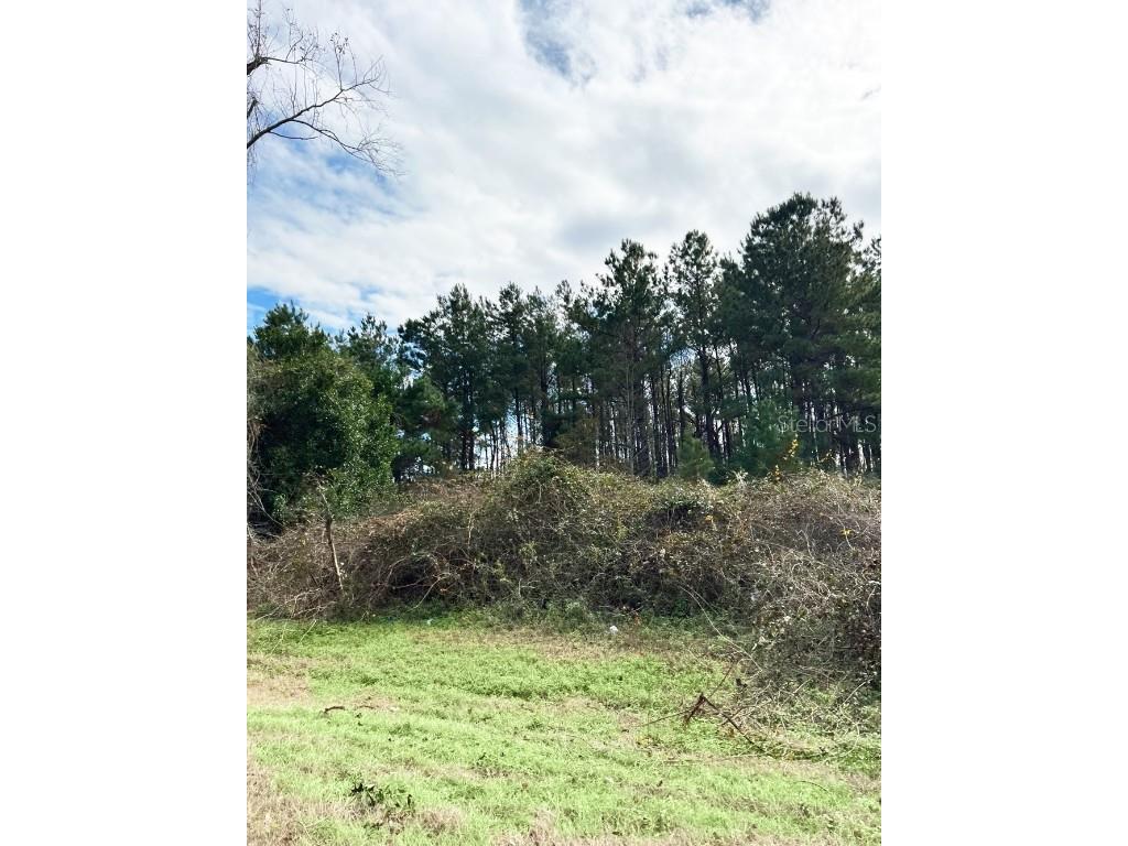 00 SW Cr 249 Jasper FL 32052 OM688220 image4