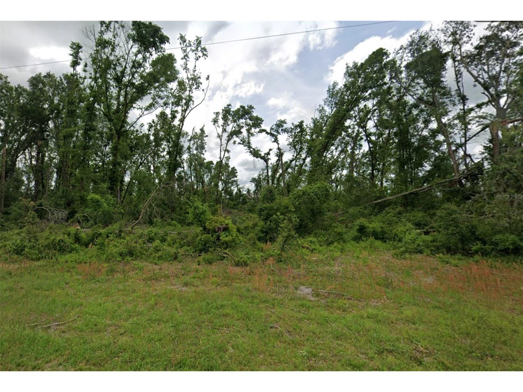 00 SW Doe Road Mayo FL 32066 OM718650 image1